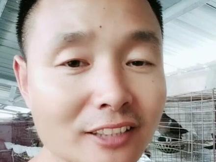 小孩发烧咳嗽别吃鸽子
信我没错😂
鸽子虽好,不宜多吃。