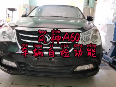 日产轩逸同平台的风神A60也有车辆自检功能,没看懂的评论区见