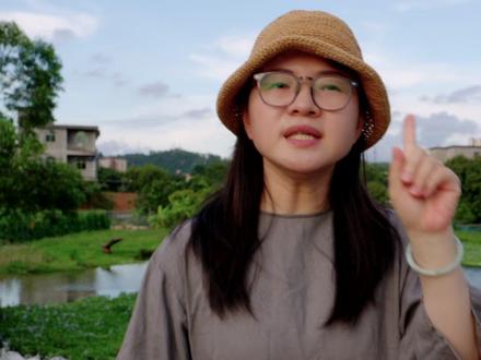 从处处是宝到恶名昭著的水葫芦,它有一个美丽的名字叫“凤眼莲”
