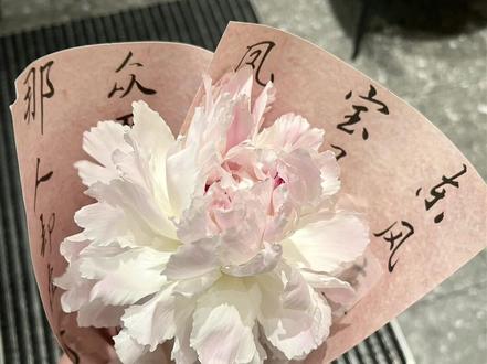 芍药花的花语是:思念 情有所钟的爱.