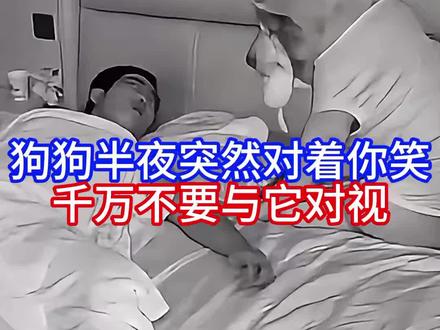 狗狗半夜突然对着你笑 #狗#狗狗#新手养狗#养狗经验分享