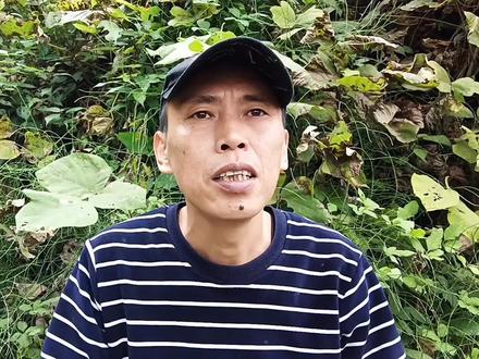 新蜂王多久产卵才正常?出台十几天没开产,这蜂王还能留吗