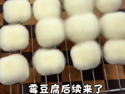 霉豆腐后续来了,原来在家做霉豆腐这么简单#霉豆腐 #自制霉豆腐 #豆腐 #豆腐的神仙吃法 #青年创作者成长计划