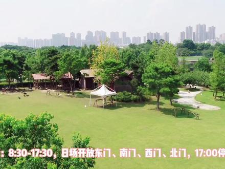 好消息!武汉园博园年卡有特惠活动哦!关注,转发及点赞该视频,抽取十位小伙伴送开年特大惊喜,一周后开奖哦#大武汉