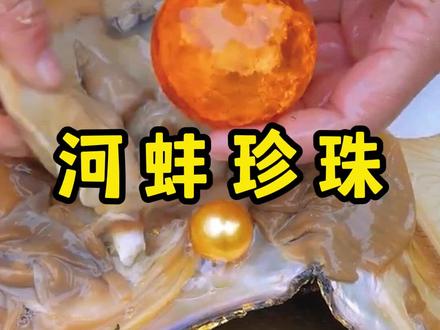 没想到捡到的河蚌,开出的蚌肉都是红色的 #我的乡村生活 #户外