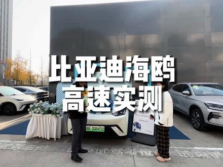 第394天 | 比亚迪海鸥新车实测,冬季高度续航折损情况,第一次开,充电时竟然出现这样的问题!#比亚迪海鸥 #比亚迪 #主打的就是一个真实
