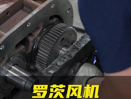 拆齿轮用蛮力就输了!老师傅这招“四两拨千斤”绝了 #罗茨鼓风机 #罗茨风机 #风机厂家 #设备生产厂家 #物料输送