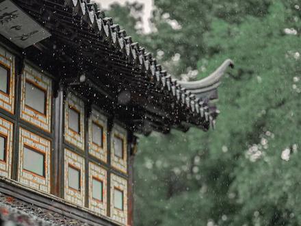 不提雨 怎么描写雨很大#江南烟雨 #摄影 #雨