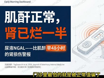 尿液NGAL即时检测:急性肾损伤早期诊断新工具 等肌酐升高才处理?肾损伤早就发生了。
尿液NGAL比肌酐提前数小时预警急性肾损伤,急诊现场即刻出结果。三层阈值一目了然:低于20放心,20-50安排复查,超过50立刻介入。炎症会干扰结果,这期教你怎么避坑。
【JVIM原文标题】Urinary neutrophil gelatinase-associated lipocalin indogs: accuracy of a novel rapid test and biomarkerbehavior across clinical settings
#犬急性肾损伤 #NGAL检测 #兽医临床 #AKI #POC检测