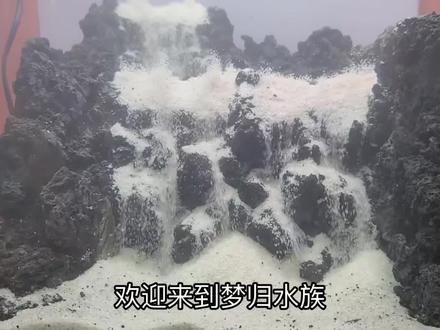 鱼缸双层组合流沙瀑布景观制作教程 #水族造景