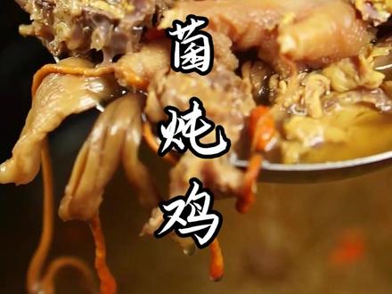 姬松茸菌炖鸡~汤鲜,味美,营养。#美食教程 #抖音美食推荐官 #美食