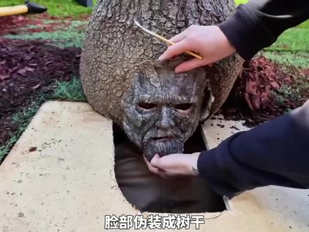 用一种颜色玩捉迷藏到底有多好玩?