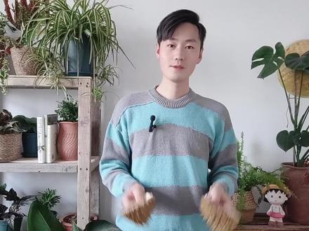 吃剩下的榴莲壳不要丢,0成本,自制顶级有机肥! #阳台花园 #园艺生活 #家庭园艺知识分享 #养花知识分享