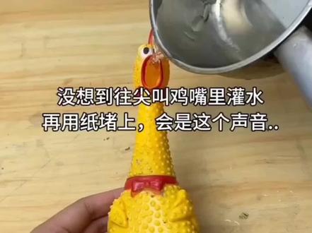 这个尖叫鸡的声音好搞笑啊哈哈哈哈哈哈哈哈哈哈哈哈哈哈哈哈哈哈哈哈哈哈哈哈哈哈哈哈哈哈哈哈哈哈哈哈哈哈哈哈哈哈哈哈哈哈哈哈哈哈哈哈哈哈哈哈哈哈哈哈哈哈#缚耳来 #楚稼君 #纪勇涛 #扶他柠檬茶 #甜