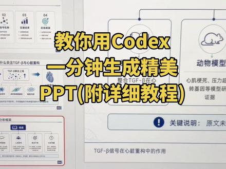 今天教大家用codex,一分钟生成精美ppt(附详细的教程)答辩学术工作汇报都适用!#codex #答辩ppt #研究生 #读研 #ppt
