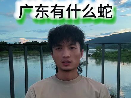 除了在浙江 广东是我呆最久的省份了#蛇类科普