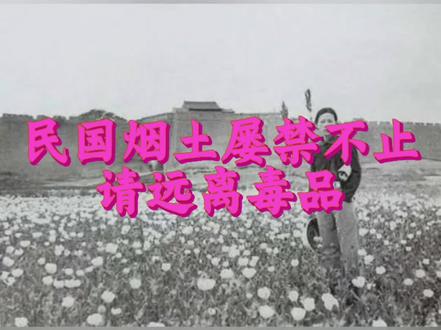 #民国#禁毒#林徽因#缉毒# 民国时鸦片越禁越好卖,原来和军饷有关。