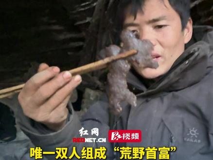 唯一双人组成“荒野首富”,有油、有蛋白质,甚至摊上葛根饼,当事人:我们已经过上小康生活了!#张家界七星山荒野求生选手精神状态超前