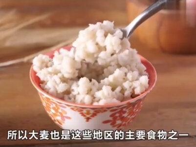 小麦大麦黑麦燕麦的区别