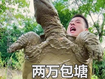 两万包塘抓巨型龟(第二集)#新农人计划2021 #三农 #农村生活 #户外