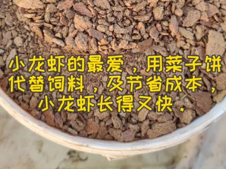 生态稻虾养殖!#农业种植 #稻虾 #我的乡村生活