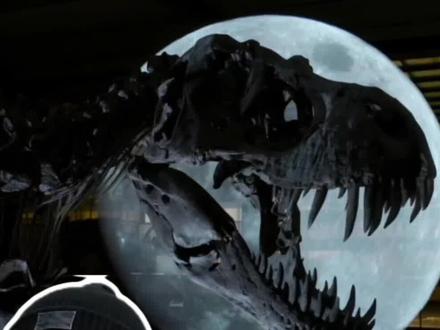 四下《飞向蓝天的恐龙》课后练习#飞向蓝天的恐龙 #飞向蓝天的恐龙四年级下册6课 #飞向蓝天的恐龙课堂笔记 #四年级语文 #科普冷知识