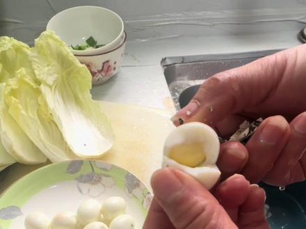 跟个风,跟着蛋神学煮蛋,我今天煮的是鹌鹑蛋, 怎么样给个意见#鹌鹑蛋 #跟着蛋神学煮蛋 #蛋神 #动手做美食 #经验分享