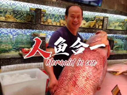 鳘鱼最珍贵的部位就它的鳔#鳘鱼 #鳘鱼鳔 #附近的人