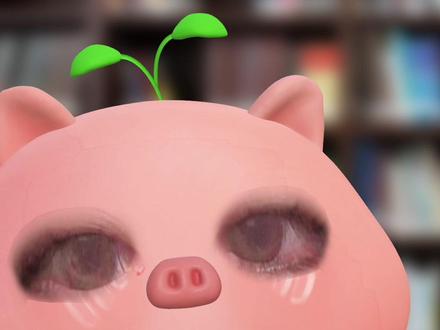 Top怎么会有团粉,团粉怎么会来!🤪🤪#top登陆少年 #苏新皓 #朱志鑫 #张极 #张泽禹