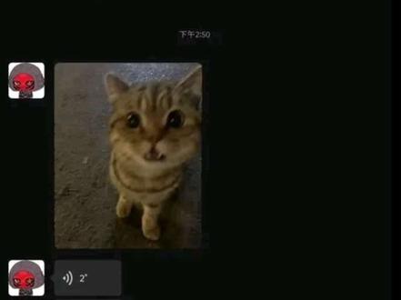 赛伊德头像来源:我们家@美味蜥红柿 请注意辨别#乙女 #三角洲行动 #三角洲乙女 #赛伊德齐亚腾 #赛伊德乙女