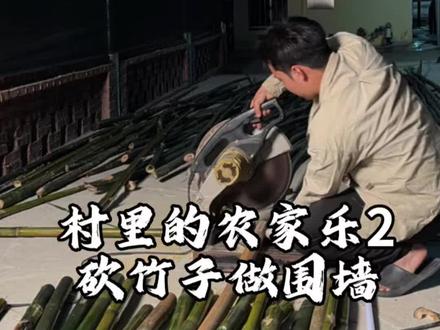 村里的农家乐,今天砍竹子做围栏! #乡村振兴