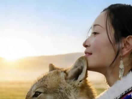 很多人一直在问:狼王格林,究竟是怎么死的?2021 年 6 月,人们在若尔盖草原发现了他,地点就在李微漪曾经住过的那间小木屋旁。检查时,他的胃里几乎没有食物,只有水。#重返狼群 #狼王格林 #李微漪 #格林