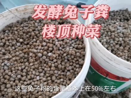 楼顶种菜,兔子粪发酵几天腐熟?分享一种简单的兔粪发酵方法。