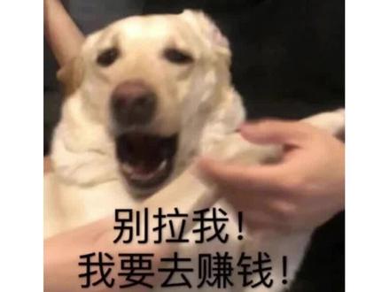 上半年最让代表赚钱的产品来了!#医药代表 #大数据推荐给有需要的人 #职场那些事 #排行