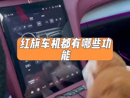 “红旗H5可以通过车机控制哪些功能”#红旗#猴猴的H5 #我的红旗Ootd