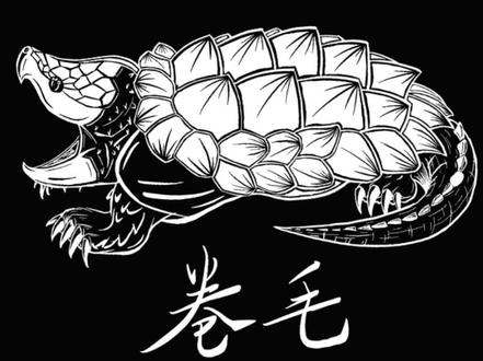 最近很多新手朋友问我怎么看几比几大鳄 就给大家出一期科普视频,有不懂的地方评论区留言。#养龟日常 #大鳄龟 #热门