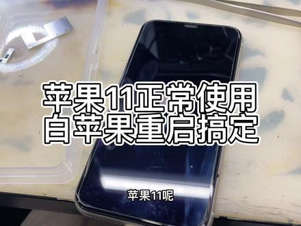 苹果11用着用着突然白苹果#苹果11 #苹果 #苹果维修 #苹果手机 #手机维修 #手机维修培训 #全民修手机 #苹果手机维修 #长兴 @DOU+小助手 @抖音小助手
