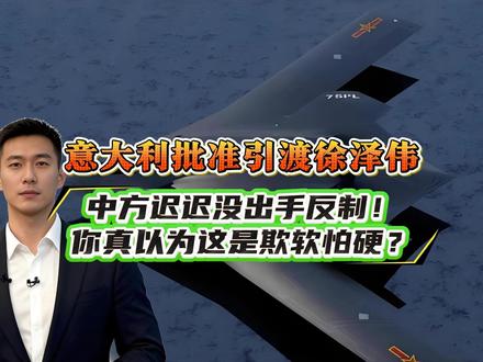 意大利批准引渡徐泽伟,中方迟迟没出手反制!你真以为这是欺软怕硬?#军事爱好者 #军事科普 #军事武器 #军迷发烧友