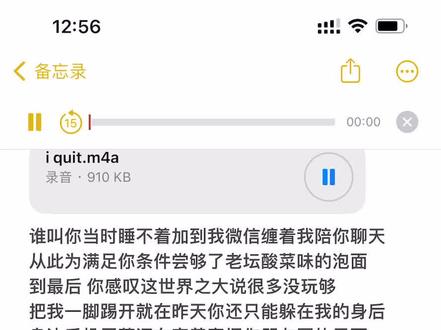 以后你在再做什么我也不会干扰灯红酒绿之地你放心去吧##185大帅哥 #沙一汀el #iquit #说唱 #戴上耳机