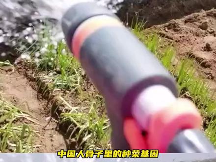 真的是出门在外,中国人最可靠了~#南极的厨师 #南极 #韩综 #美食