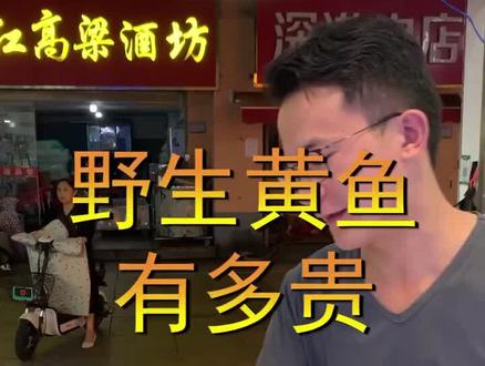 看完这个视频,你以后就不会问商家黄鱼是不是野生的了#海鲜 #黄鱼 @抖音小助手
