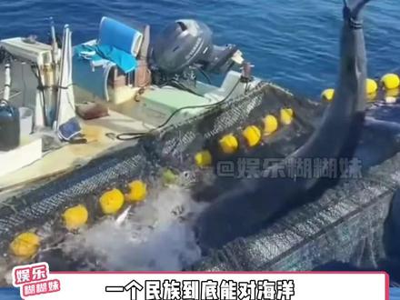 一个民族到底能对海洋犯下多少可怕的罪行#海洋守护协会 #保护动物 #海洋 #生命