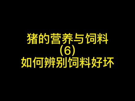 #科学养猪 #猪饲料 简单实用挑选避开不好饲料