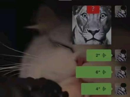 不管桂圆水还是桂源源我都笑纳了😼🫶🏻 有一只小狗真的很爱吃醋吧!
#桂桂瑞瑞 #张桂源张函瑞 #桂瑞ai