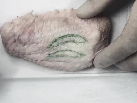 用鸡翅模拟传统睑板法双眼皮和提上睑肌腱膜-眼轮匝肌(LA-OM)固定法仿生重睑术两种不同做法有哪些不一样!#双眼皮 #全切双眼皮 #双眼皮蜕变记 #刘庆峰 #郑州刘庆峰