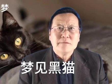 梦见黑猫是什么意思? #猫 #爱猫