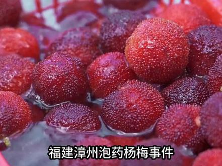 福建漳州泡药杨梅事件:23名干部被问责,700年产业毁于一旦#福建 #杨梅
