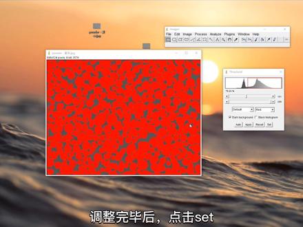 怎么用imagej和ps统计图片中的某一成分占比?这个视频看到最后你就会了#科研狗的日常 #一分钟干货教学 #ps #imagej @DOU+小助手 @抖音小助手