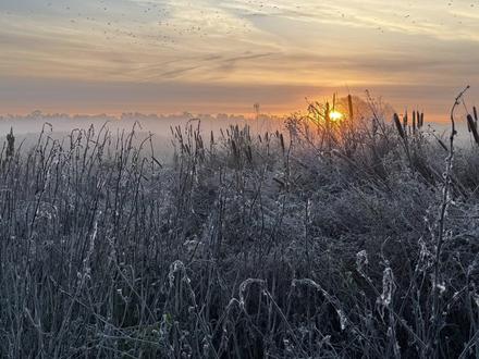 1月26日2026年,ice在洛杉矶超市抓人 #早日上岸