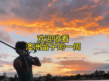 澳洲留子一周都在干什么 #留子日常